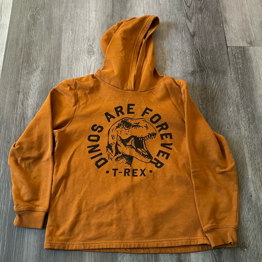 H&M Orange Dinosaur Hoodie